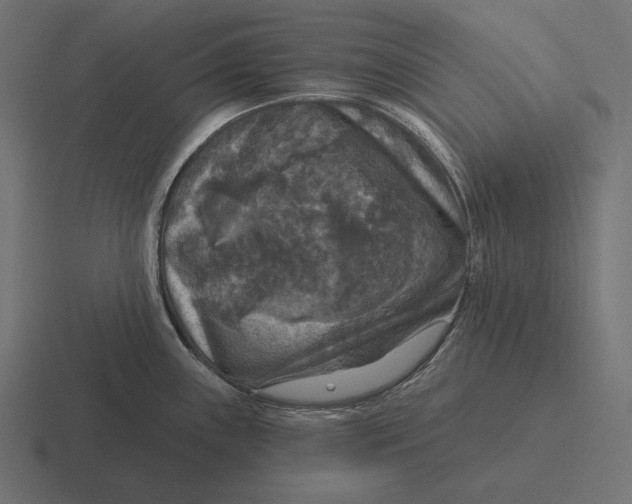 X0000116591243200912291302