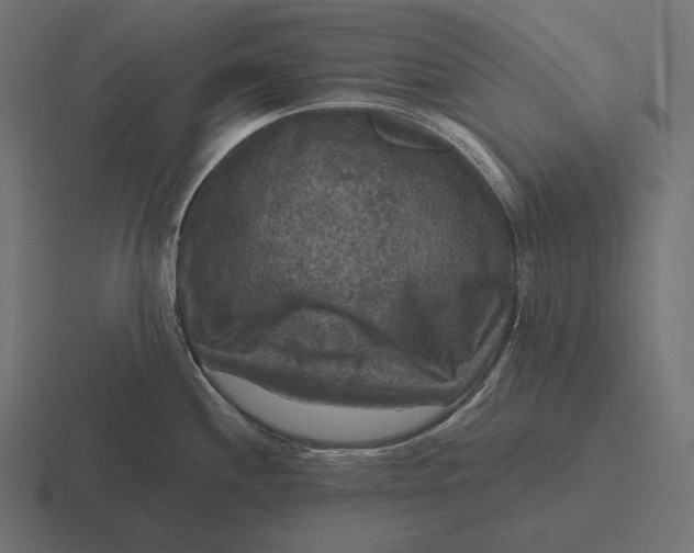 X0000116591244200912291302