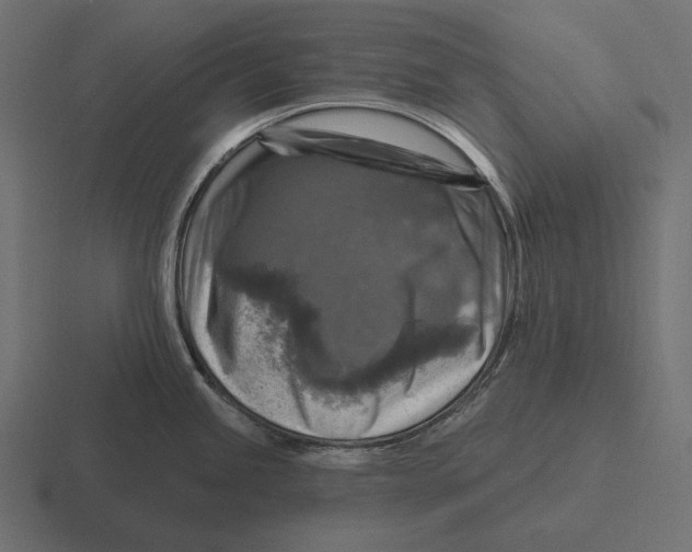 X0000116591245200912291302