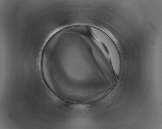 X0000116591246200912291302