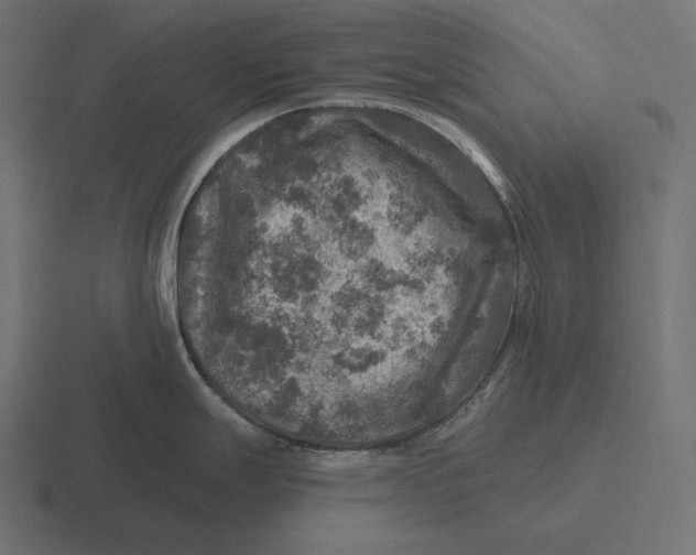 X0000116591247200912291302