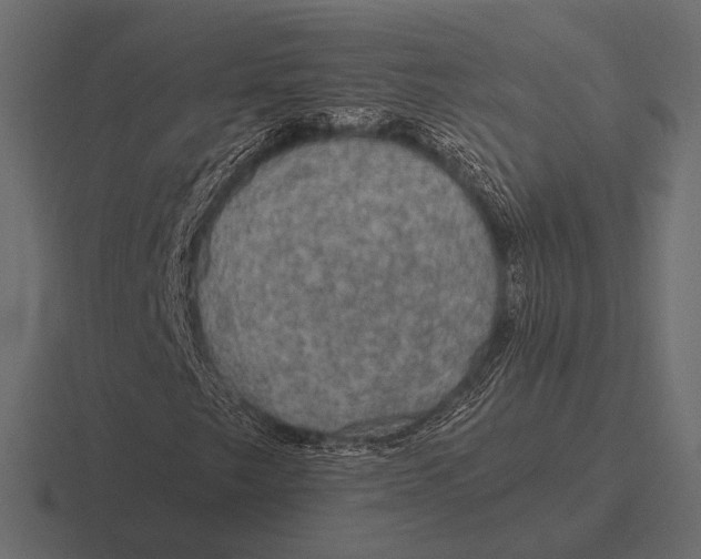 X0000116591249200912291301