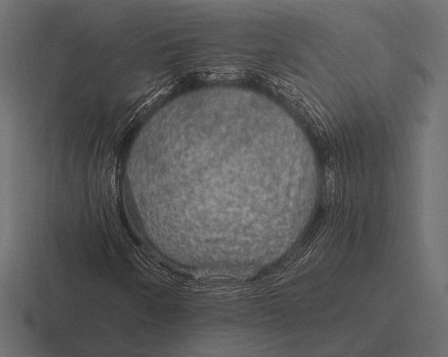 X0000116591250200912291301