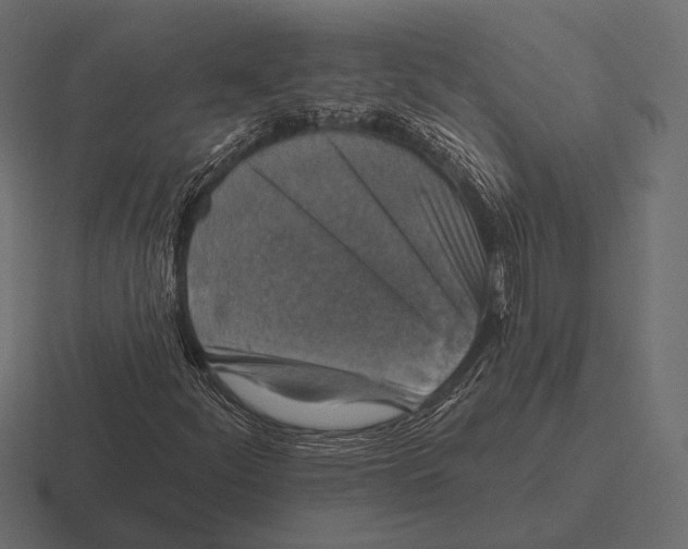 X0000116591252200912291301