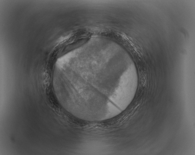 X0000116591253200912291301