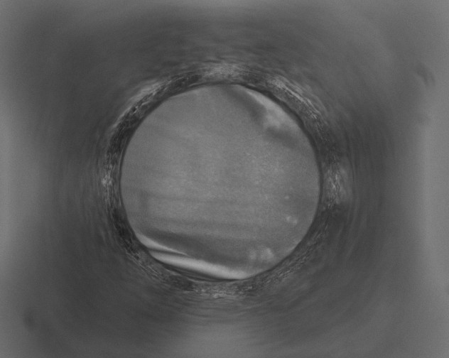 X0000116591254200912291301