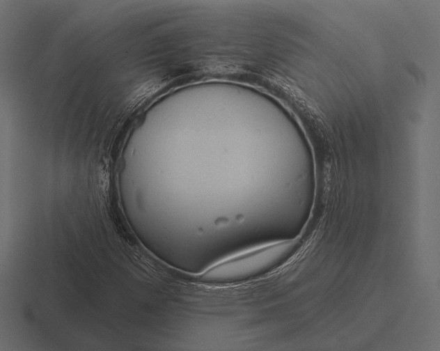 X0000116591257200912291301