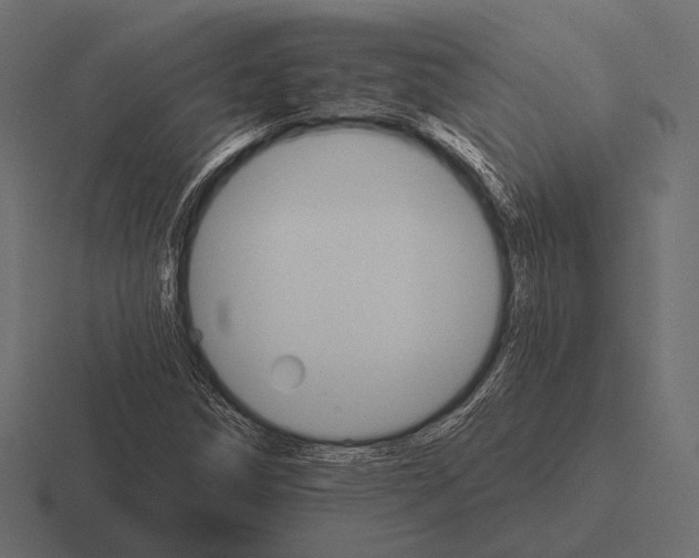 X0000116591258200912291301