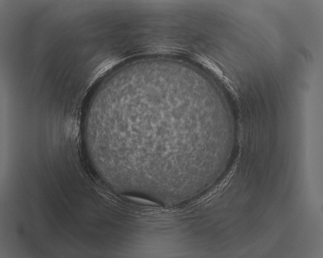 X0000116591259200912291301