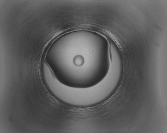 X0000116591260200912291301