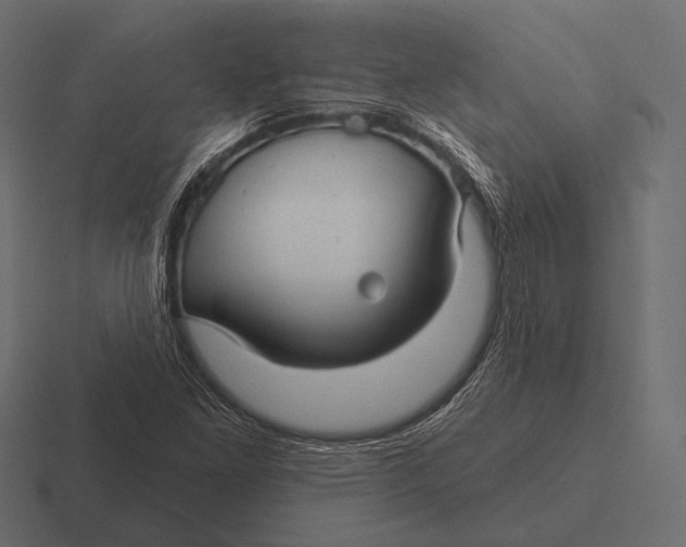 X0000116591261200912291301