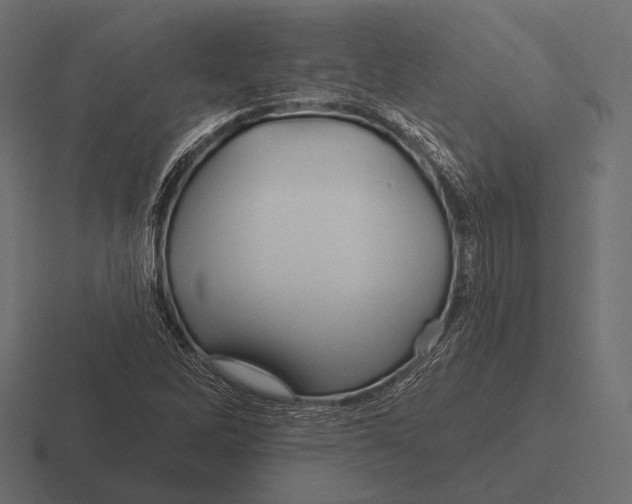 X0000116591262200912291301