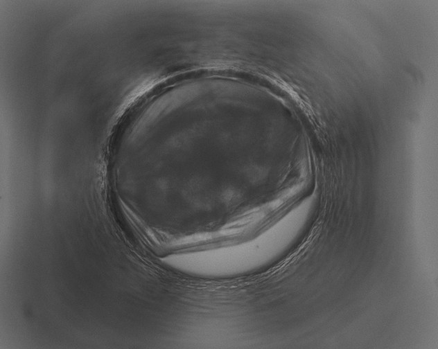 X0000116591263200912291301