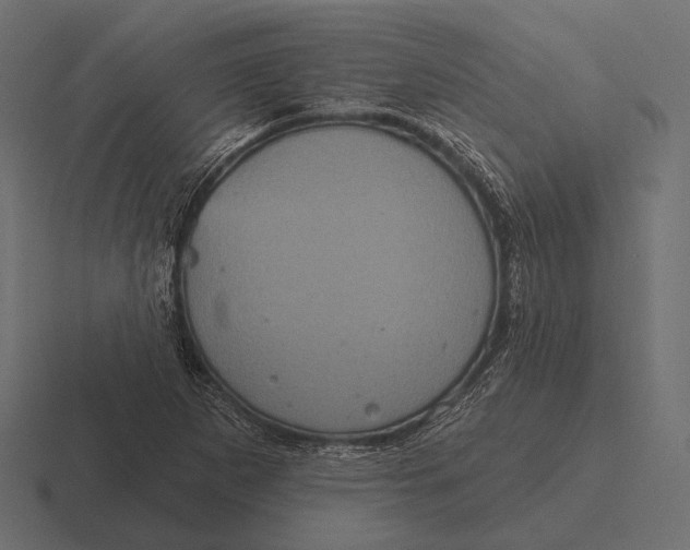 X0000116591265200912291301