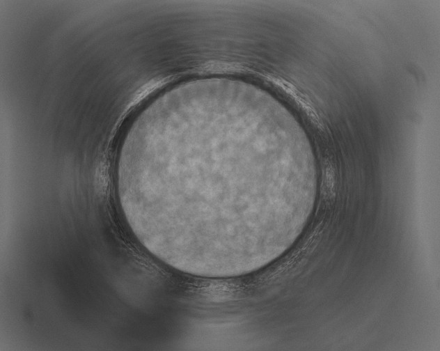 X0000116591266200912291301