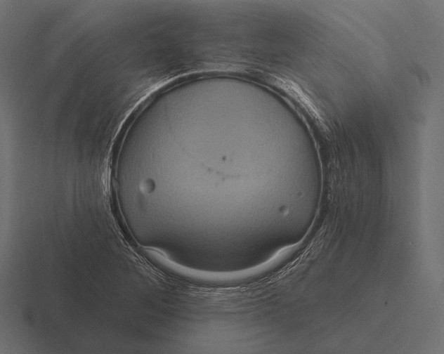 X0000116591268200912291301