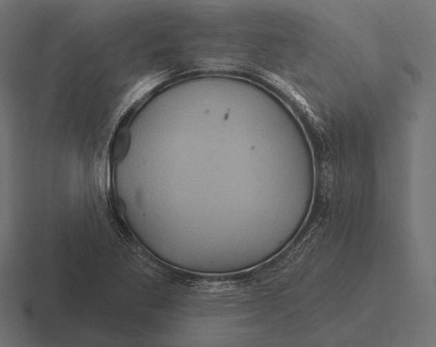 X0000116591269200912291301