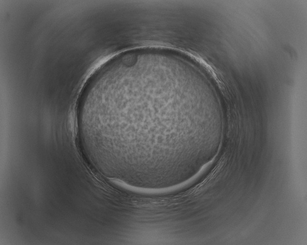 X0000116591271200912291301