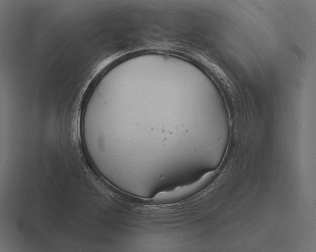 X0000116591272200912291301