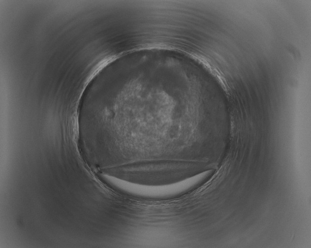 X0000116591274200912291301