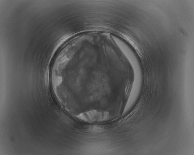 X0000116591275200912291301