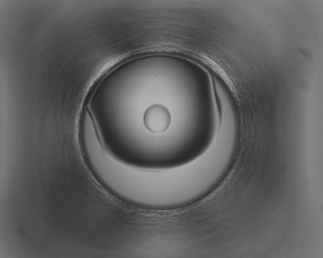 X0000116591277200912291301