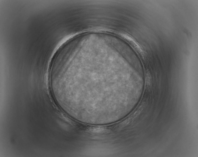 X0000116591278200912291301