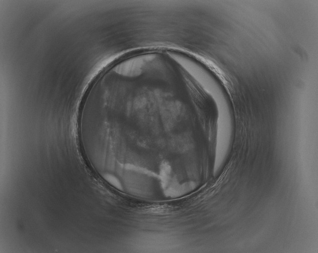 X0000116591279200912291301