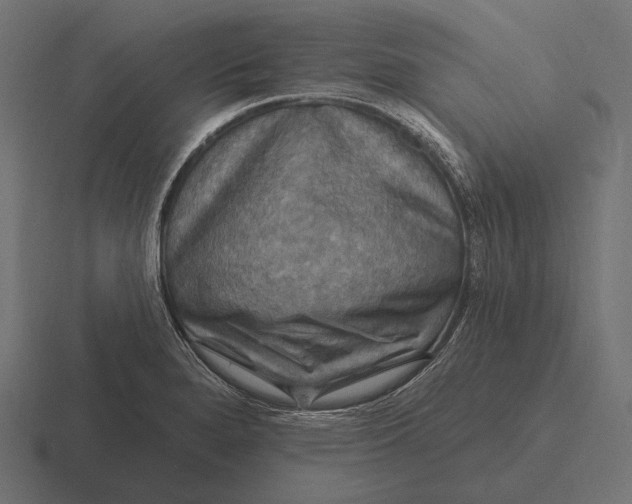 X0000116591280200912291301