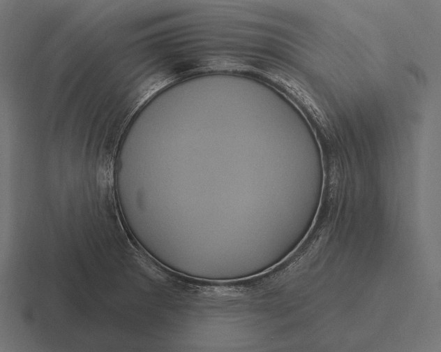 X0000116591281200912291301