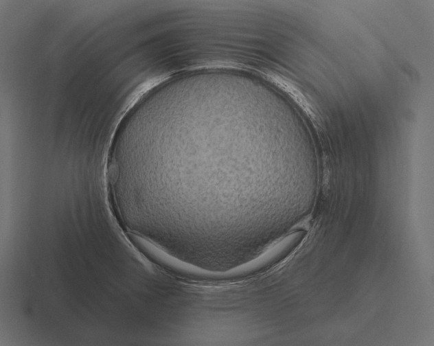 X0000116591282200912291301