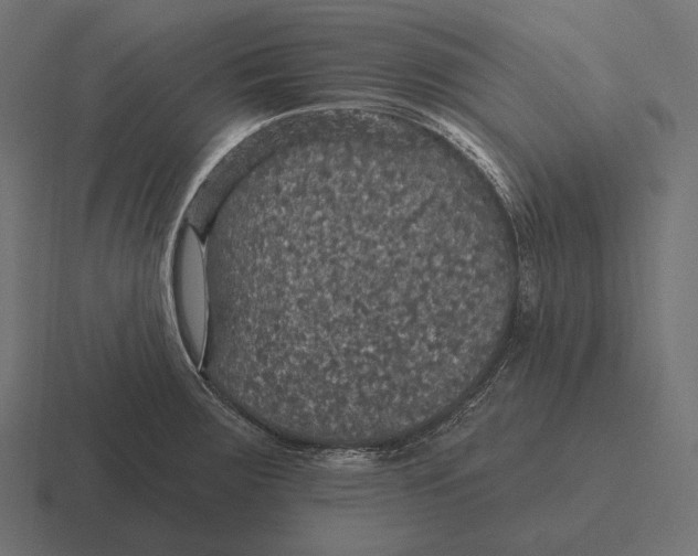 X0000116591283200912291301