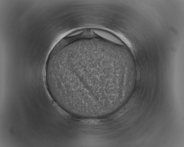 X0000116591287200912291301