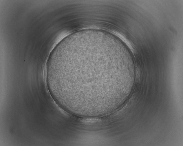 X0000116591290200912291301