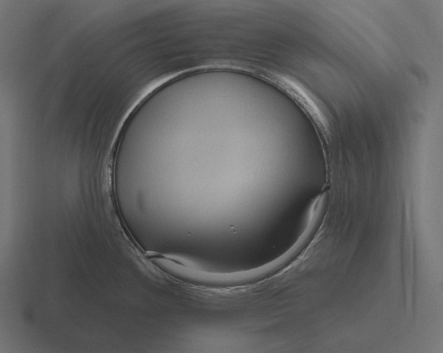 X0000116591292200912291301