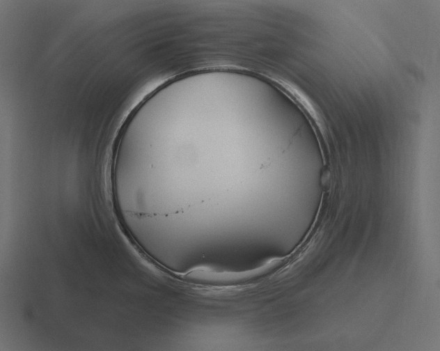 X0000116591293200912291301