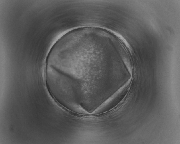 X0000116591295200912291301