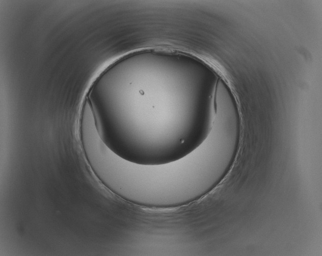 X0000116591296200912291301