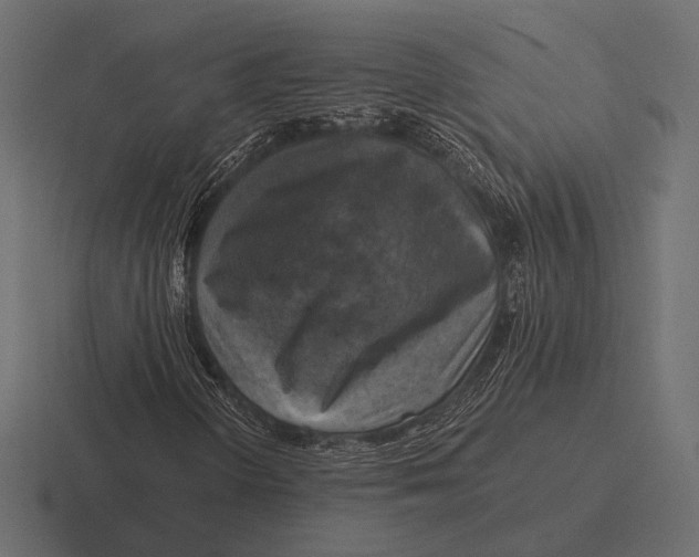 X0000116591298200912291300