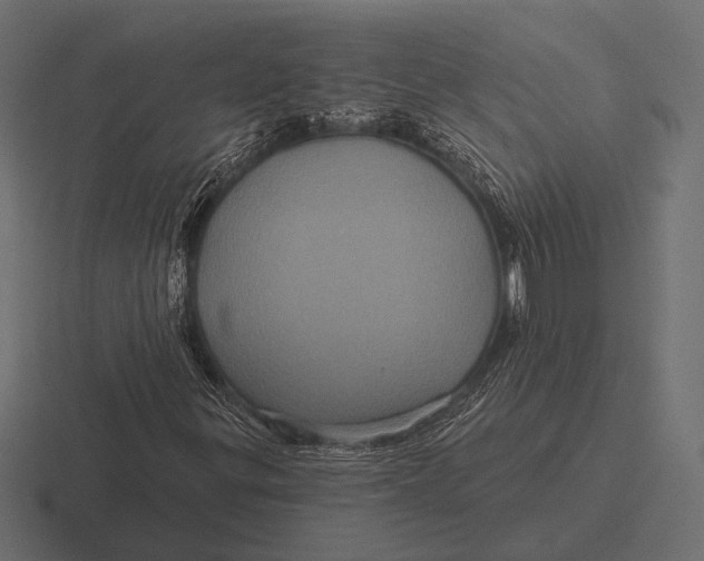 X0000116591299200912291300