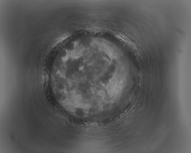 X0000116591302200912291300