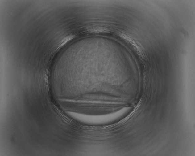 X0000116591305200912291300