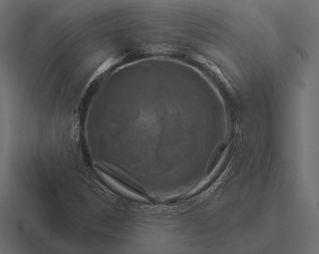 X0000116591306200912291300