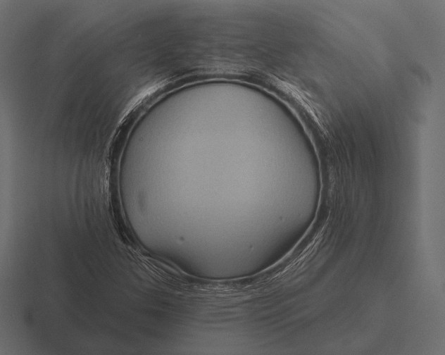 X0000116591307200912291300