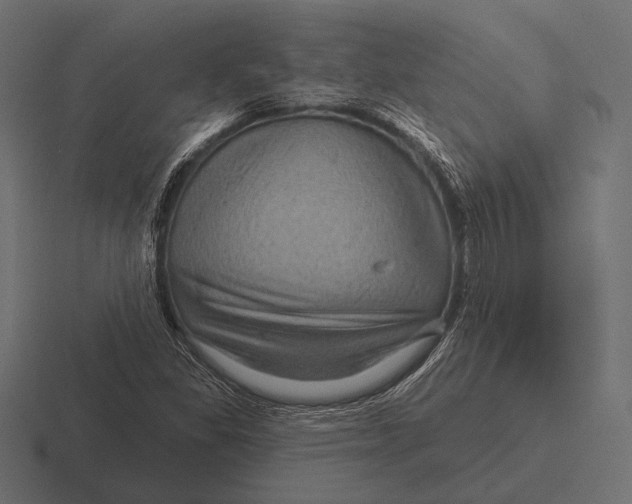 X0000116591309200912291300