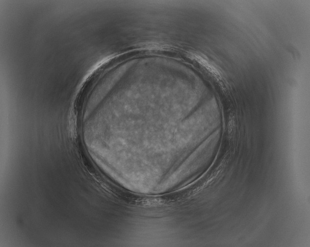 X0000116591310200912291300