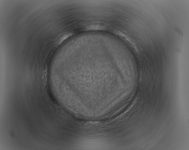 X0000116591313200912291300