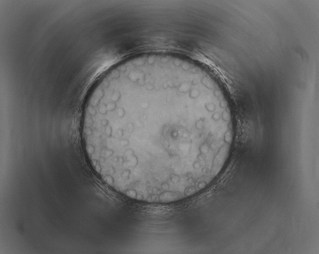 X0000116591314200912291300