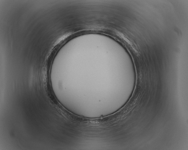 X0000116591315200912291300