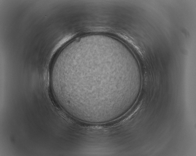 X0000116591317200912291300